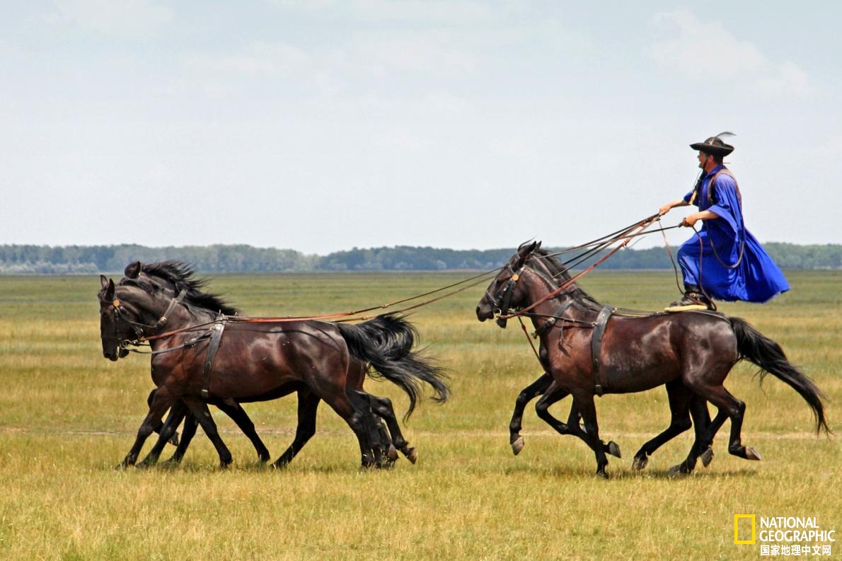2021年全球最佳旅行目的地,2019年世界最佳旅行目的地榜单