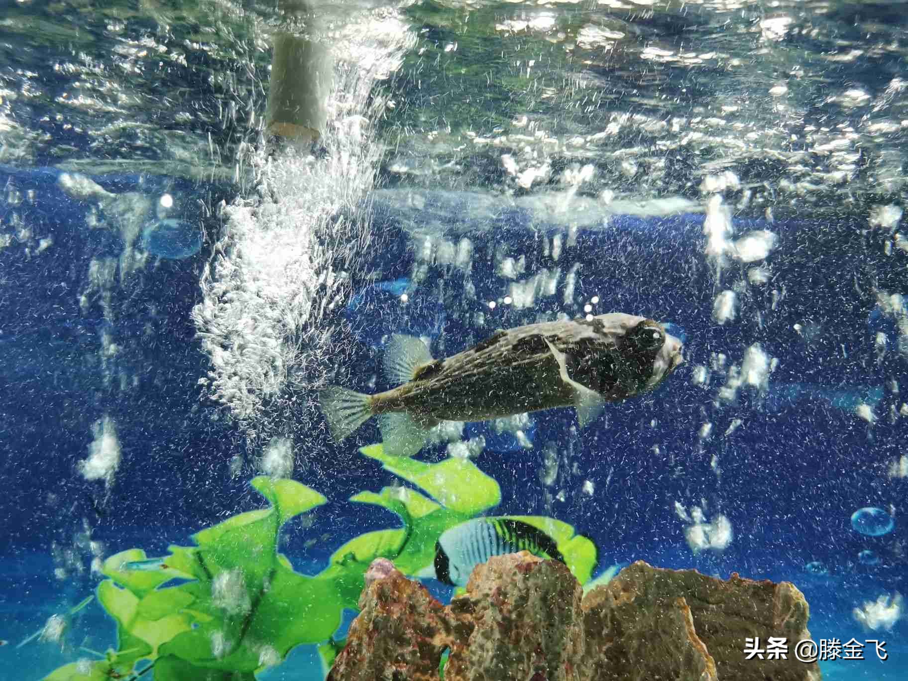 溧阳天目湖水世界夜场,溧阳天目湖水世界