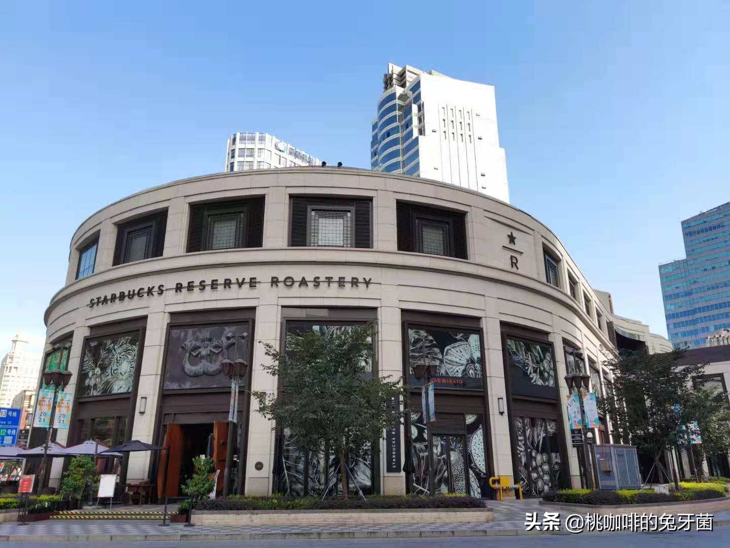 云南咖啡有远山森林的味道吗,云南咖啡产地探访记