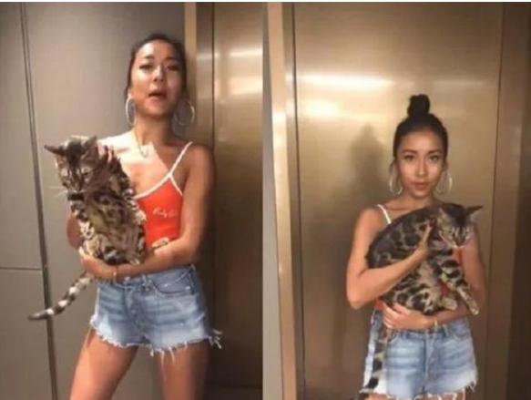 吉克隽逸豪宅内部照片,吉克隽逸的大别墅长什么样子