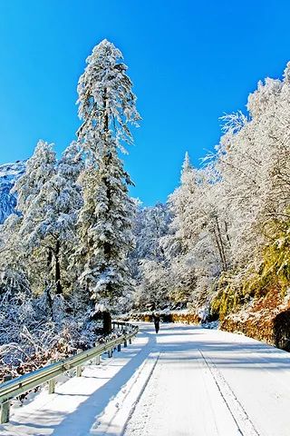 海螺沟温泉什么时候去最美,脑补一下