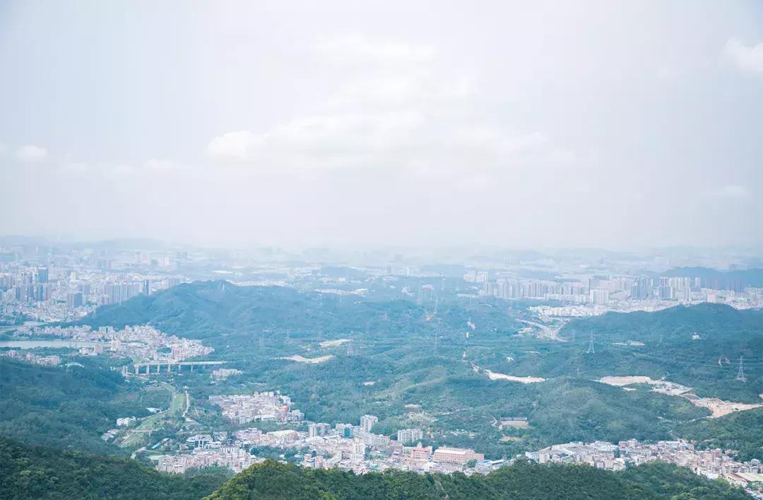 深圳十大一日游景点,深圳十大免费公园景点大全