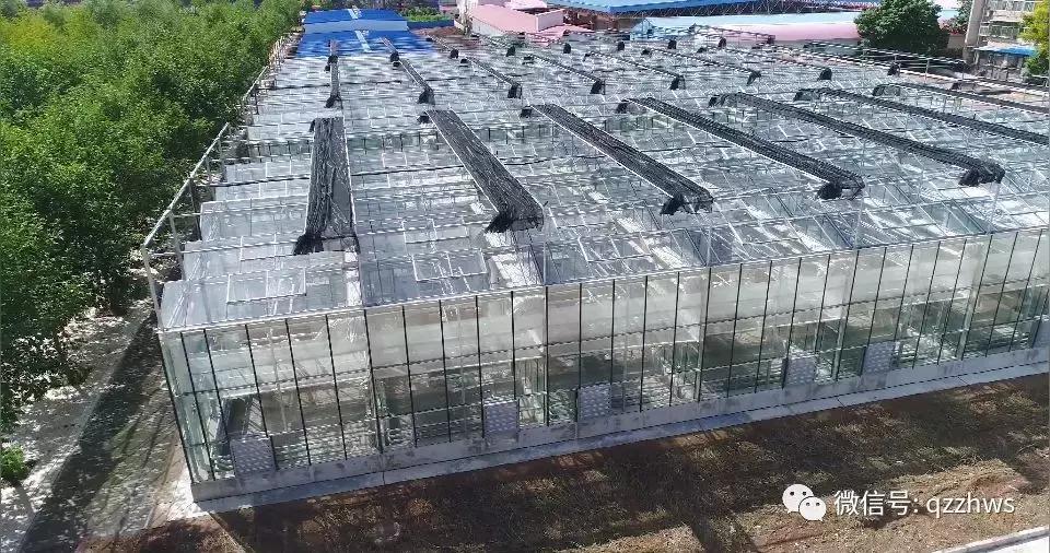 个体农户种大棚能拿补贴吗,农村养殖大棚如何申请补贴