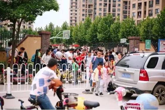 白沙洲，是我生活的底色