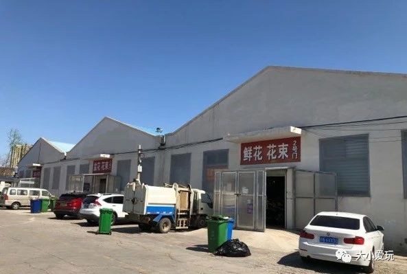 可以逛的花卉市场,值得去看的花卉市场