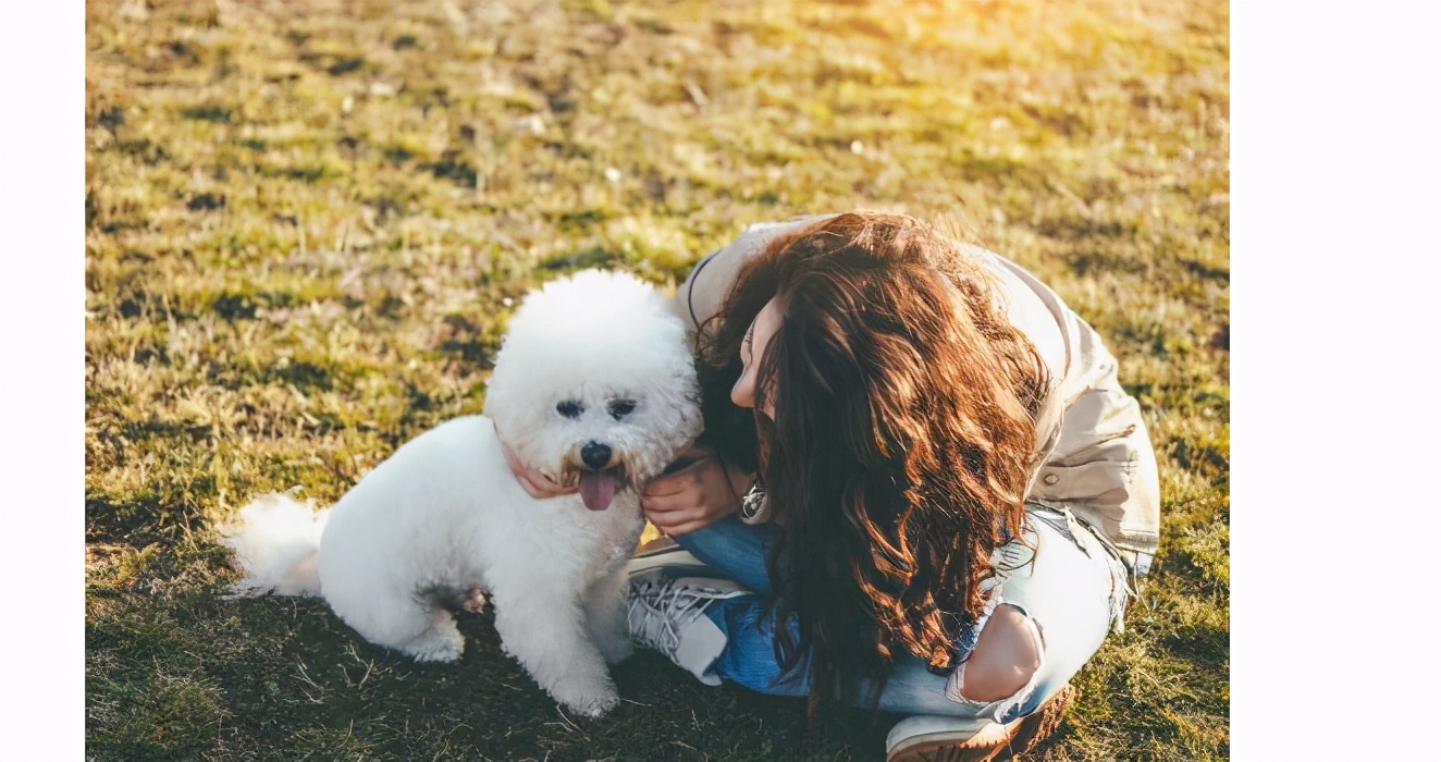 比熊各种行为的含义,比熊各种的反应代表什么