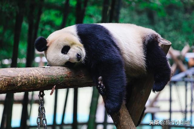 天目湖加南山竹海哪里泡温泉好,天目湖度假秘境享用绝美自然山水