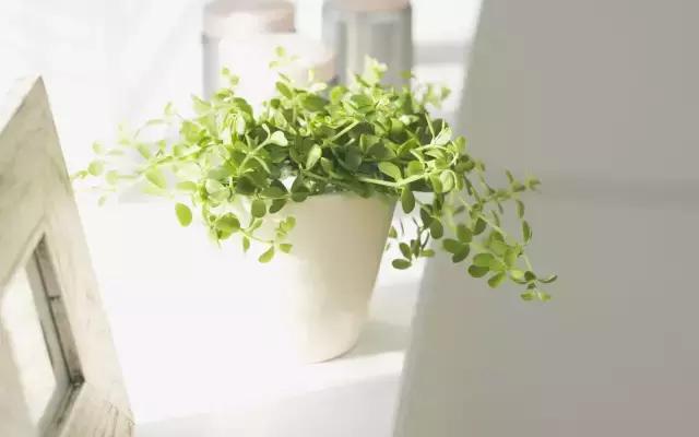 文学常识汇总app,文学常识汇总公务员考试