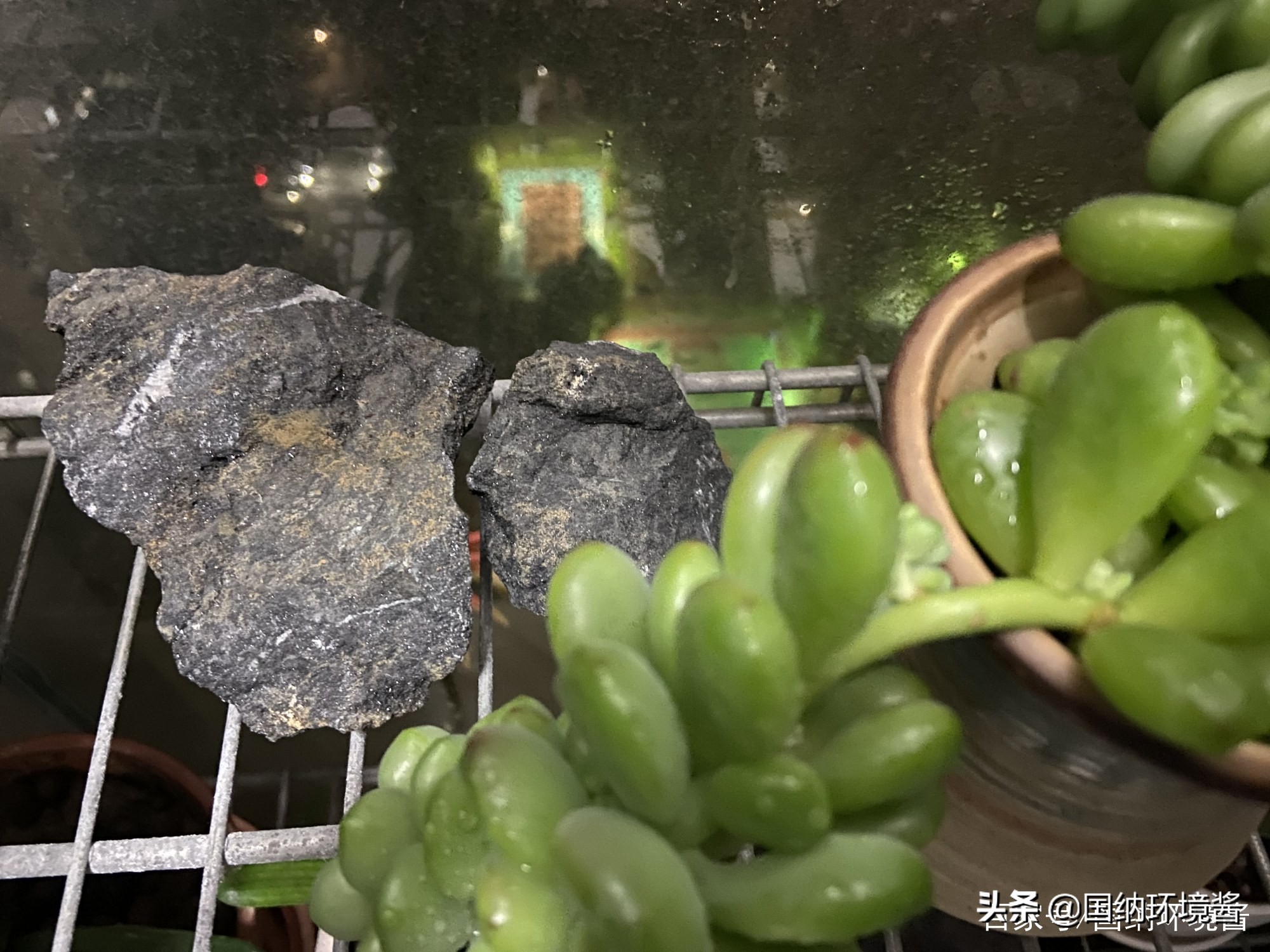 室内空气净化除甲醛治理方案,室内空气净化甲醛治理方案