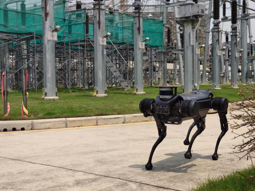 进击的机器人,进击的机械狗在哪里