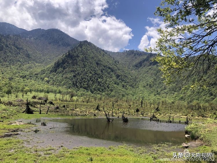四川黑竹沟之谜,四川黑竹沟探险之旅