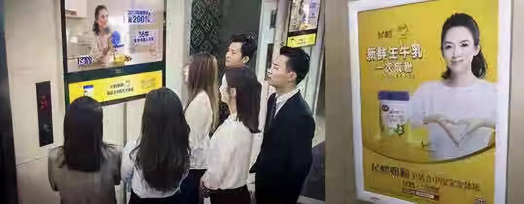 阿迪达斯绿色营销启示,阿迪达斯的营销危机的分析