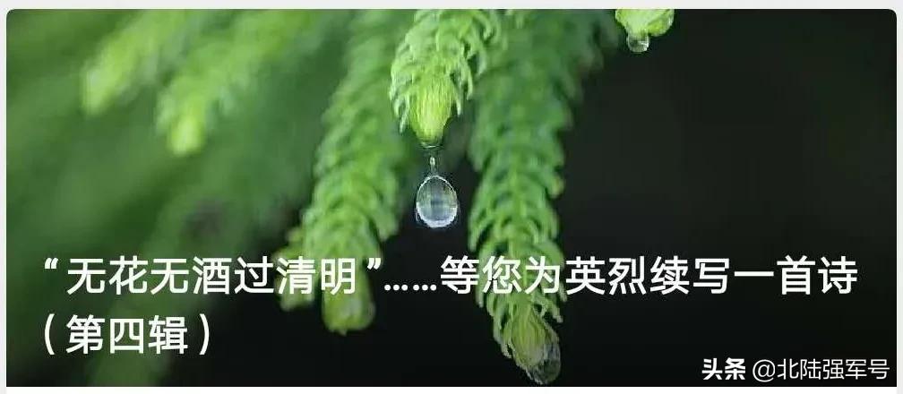 无花无酒过清明的下一句,无花无酒过清明