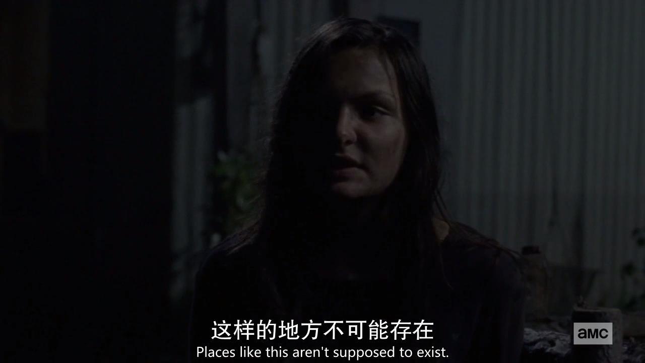 行尸走肉s01,行尸走肉9-12季讲解大全