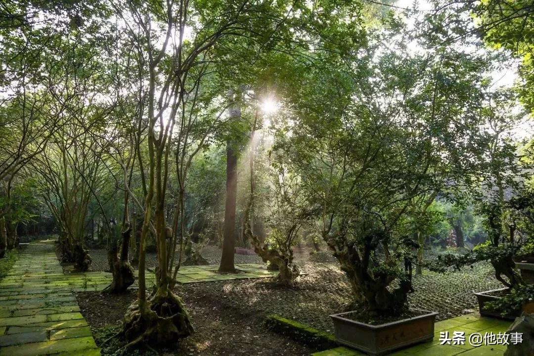 人间仙境般的世外桃源庭院,原始森林自建世外桃源