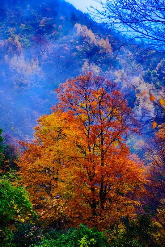 四川一条路途经全是石头的山,四川红叶一日游攻略