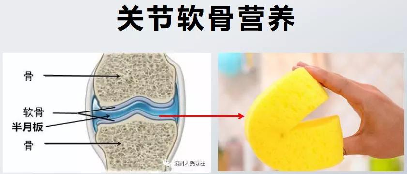 全身关节都有毛病怎么治,膝关节为什么会发炎