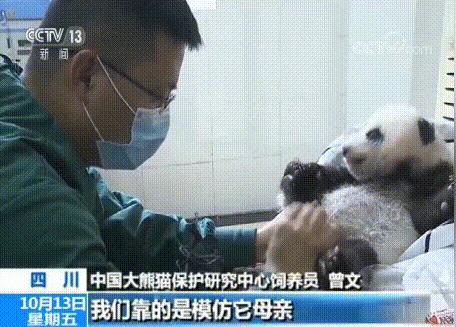 猫咪乱拉如何解决,猫咪乱拉处理方法