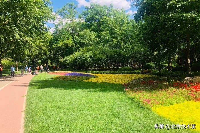 芒种旅游景点推荐,芒种至仲夏节气