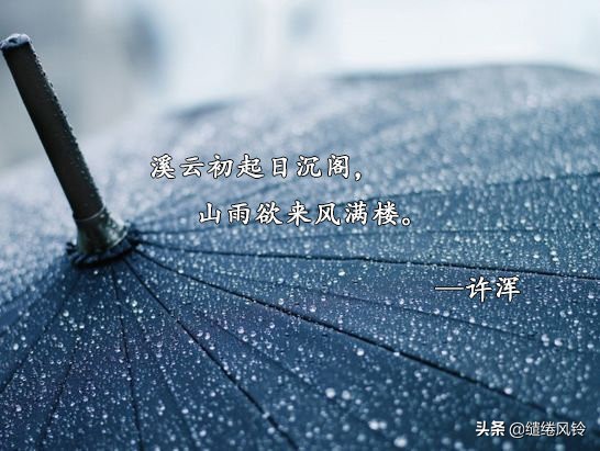 杨柳风杏花雨诗句,沾衣欲湿杏花雨诗句