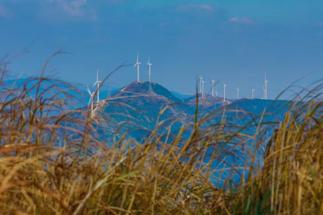 北仑凤凰山森林步道从哪里开始,北仑十大免费景区八大坑森林步道