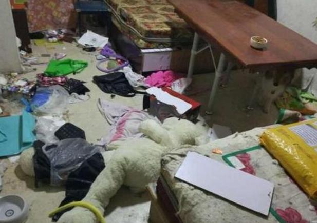 养哈士奇可以像养土狗一样吗,养哈士奇烧钱吗