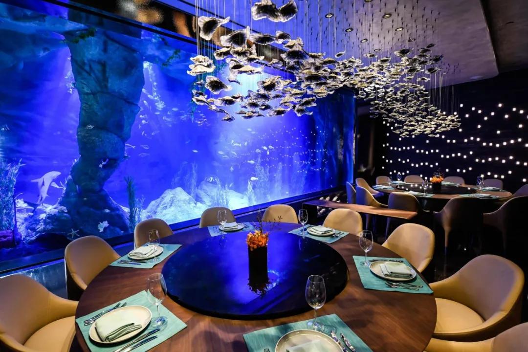 南北通透房子推窗见景,高层3楼住户真实感受南北通透