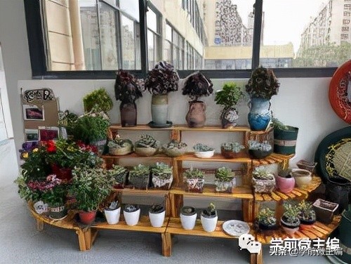 南京逸仙小学附属幼儿园,南京逸仙幼儿园性质