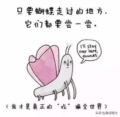 8个关于动物的冷知识,你不知道的二十条动物冷知识