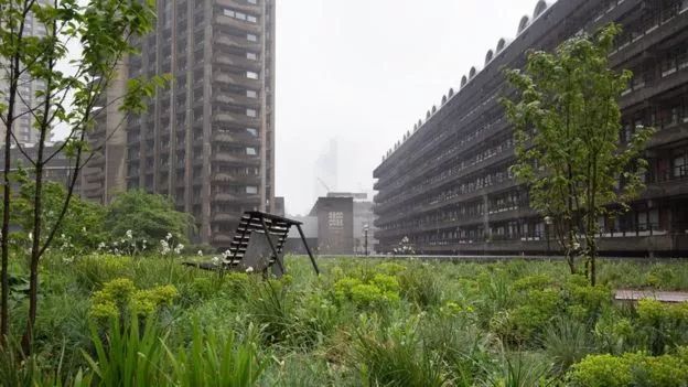 浼︽暒缁垮湴鑺卞洯,浼︽暒缁垮湴鑺卞洯瑙嗛