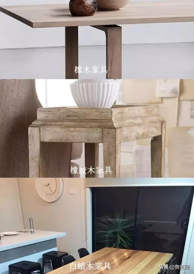 橡木种类大全及图片,史上最专业橡木介绍快来收藏吧