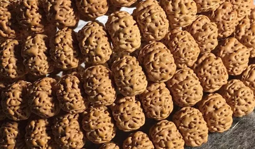 大金刚好还是小金刚好,大金刚和小金刚哪个可玩性高