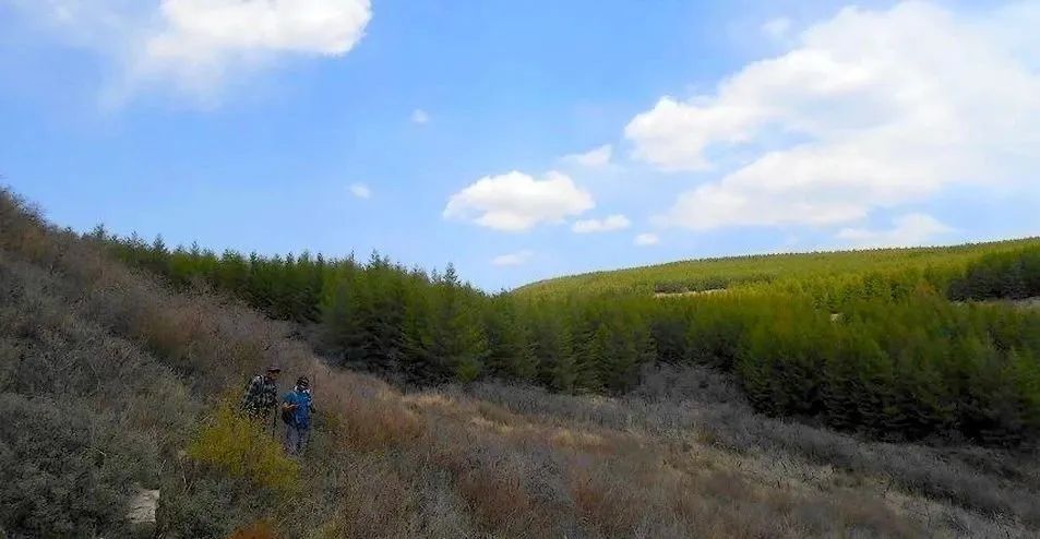 五岳北岳恒山攻略,五岳中的北岳是恒山吗