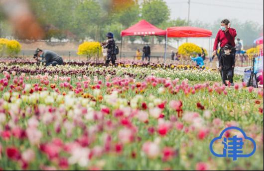 【津云镜头】降级之后，精彩假期