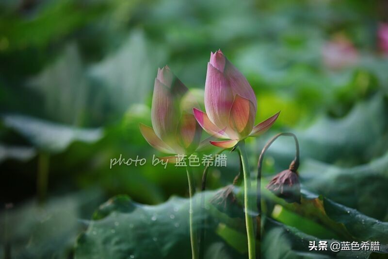 佳能5d3能拍多少数量照片,佳能5d3有多重曝光拍摄技巧