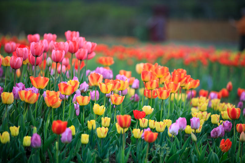南昌月亮湾一日游最佳攻略,南昌月亮湾旅游攻略和自驾游攻略