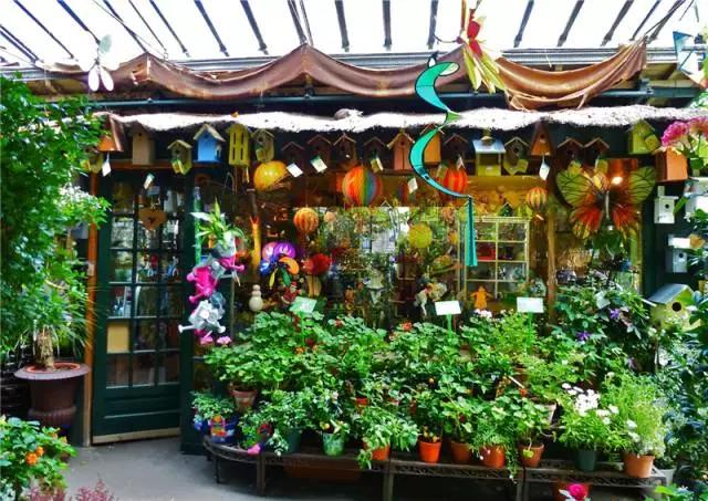 亚洲最大花市宛如仙境,中国最牛的花市