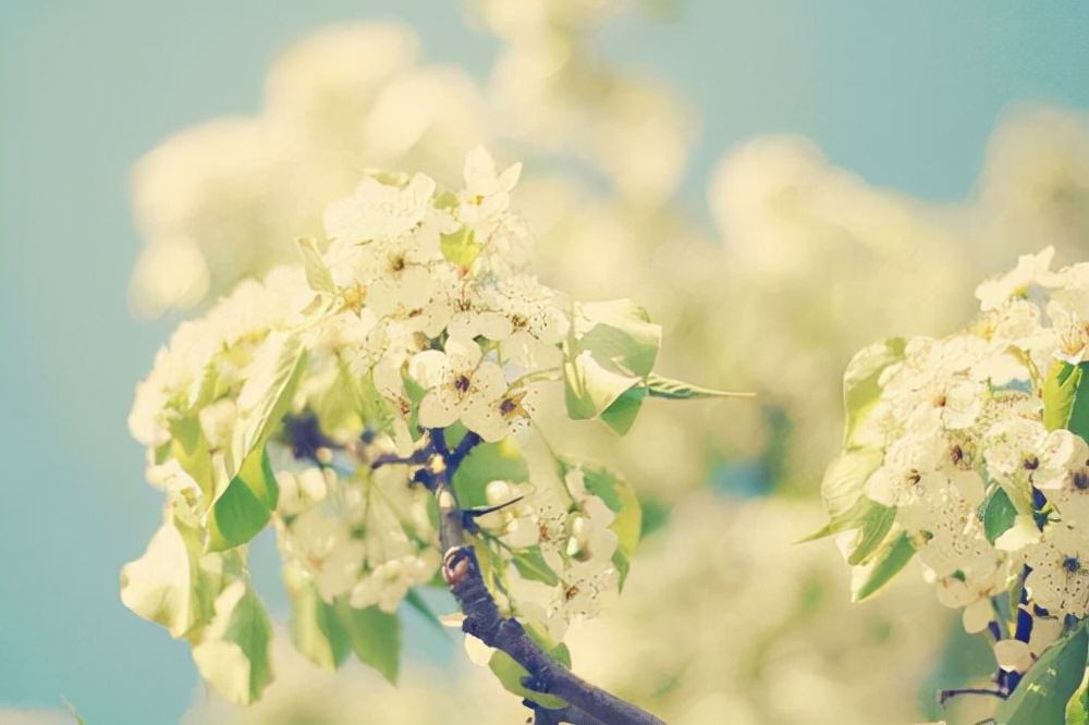 晚安句子短句治愈伤感,让人流泪的晚安句子