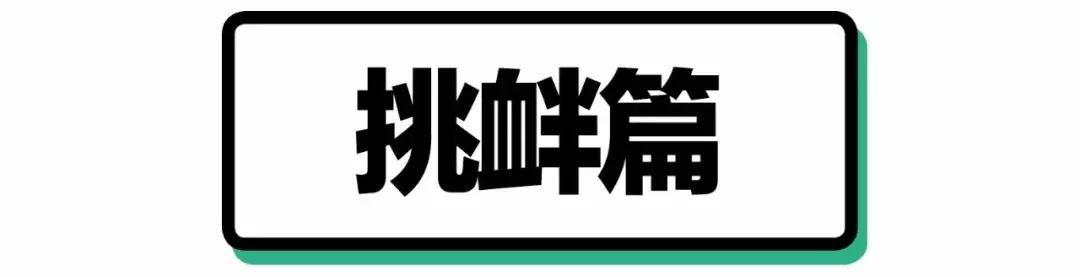 鸟界广东人，没什么是它不敢吃的……