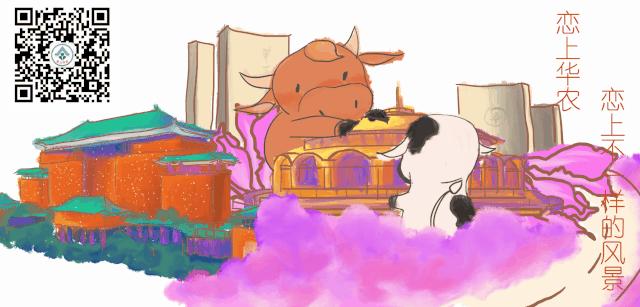 vip音乐免费下,vip免费音乐解析下载