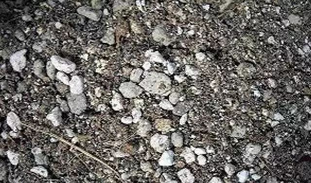 养花种植技术大全及配土,家庭养花如何使用绿沸石配土