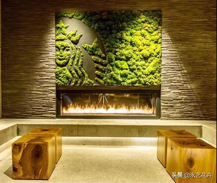 永生花苔藓植物墙,永生苔藓的价格