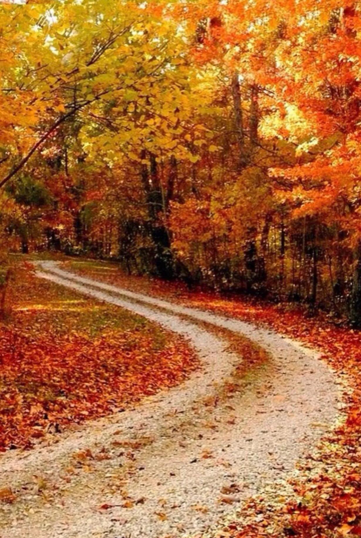 转弯遇到幸福,转弯遇到爱主题曲