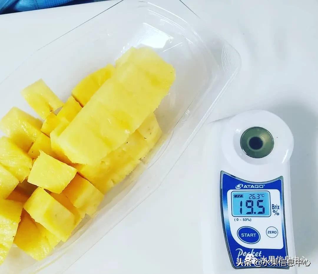 日本农业发达到什么程度？荔枝、香蕉、菠萝竟然用温室来种