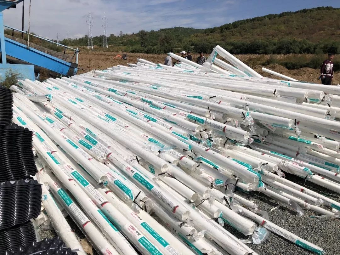 碧桂园扶贫农业发展,碧桂园助力精准脱贫攻坚战