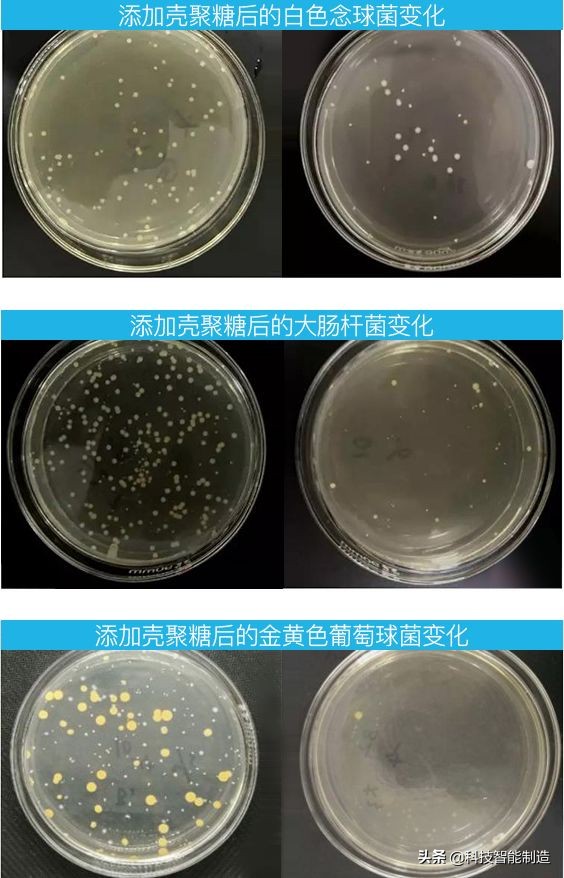 夏天防蚊黑科技,夏日防蚊黑科技
