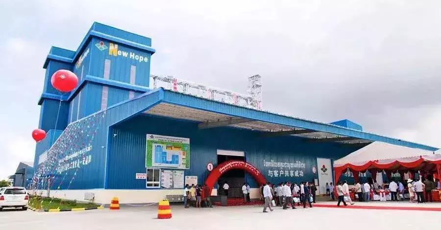 丝路先锋⑤新希望集团：“一带一路”上的跨界转型，刘永好在下一盘大棋