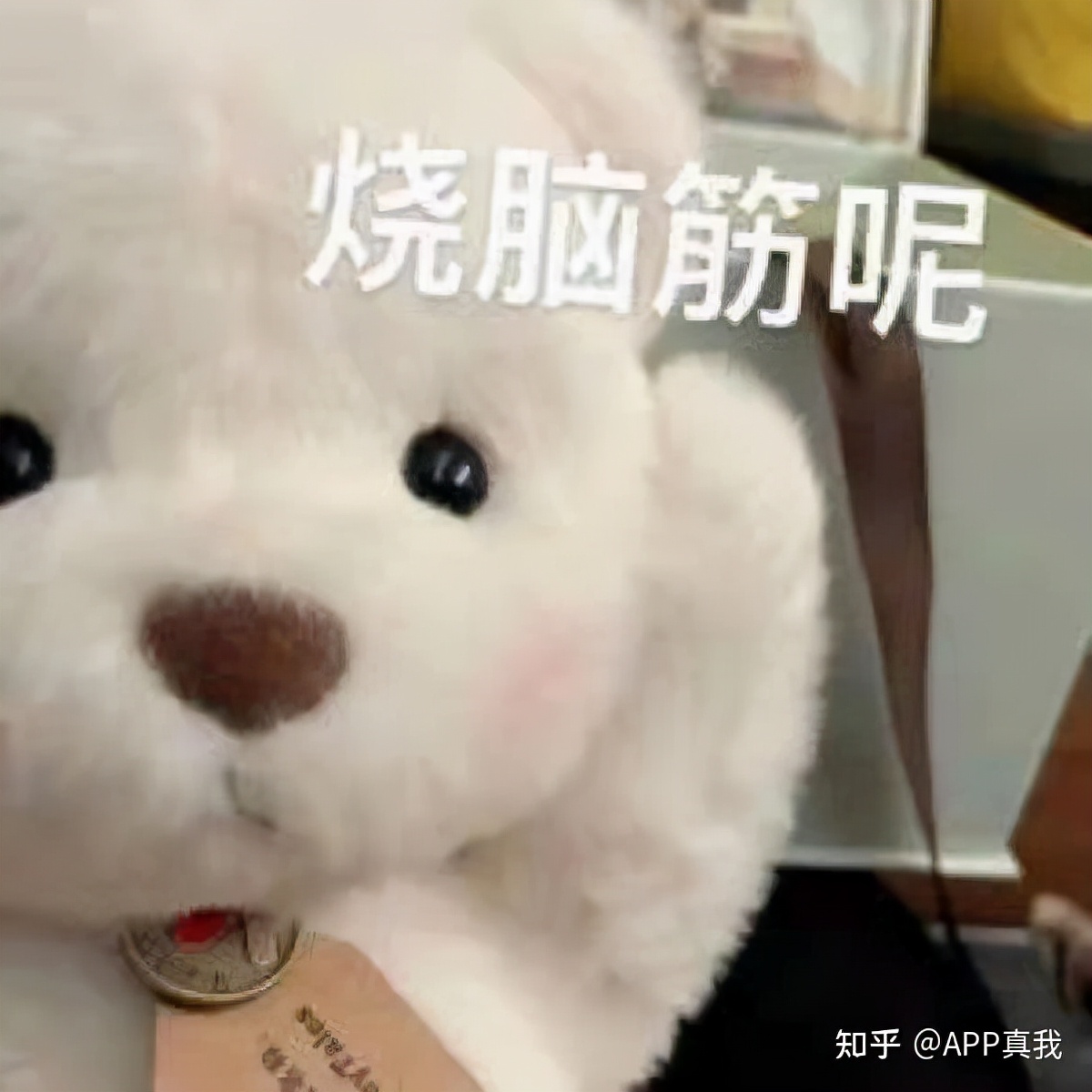 水杨酸棉片可以收缩毛孔吗,水杨酸真的可以收缩毛孔吗