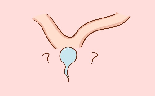 漫漫求子路怀孕备孕,备孕路漫漫