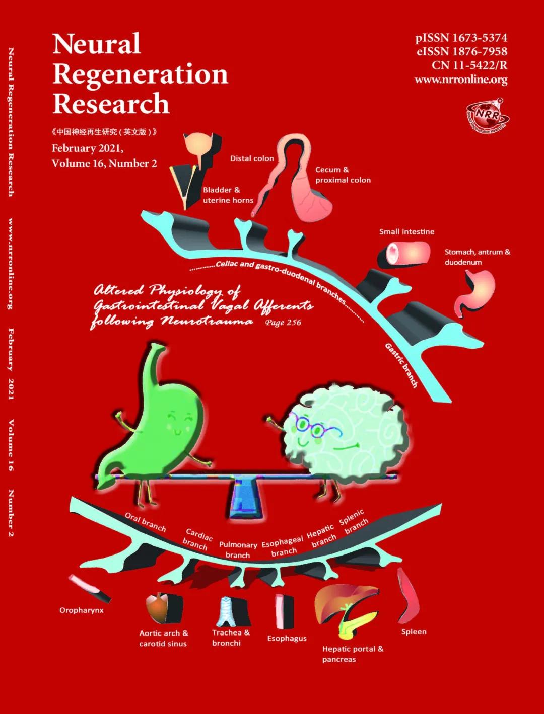 中国神经再生研究杂志,中国神经再生研究英语版杂志